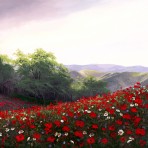 899 Wild Poppies