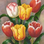 26035 Spring Tulips