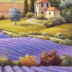 28773 Fields Of Lavender I