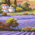 28774 Fields Of Lavender II