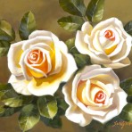 40349 White Roses