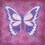 36683 Butterfly Pink Pop