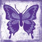 36684 Butterfly Purple Pop