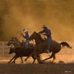 36164 Ropin’ On The Ranch II